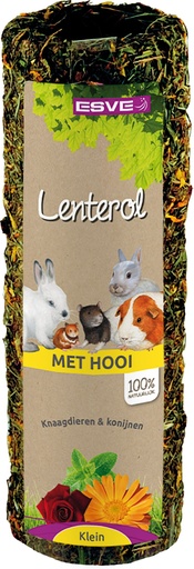 [E805001] Lenterol Klein 20 cm.