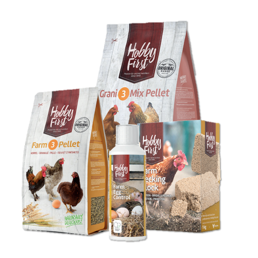 [HF390299] HobbyFirst Legkipbox