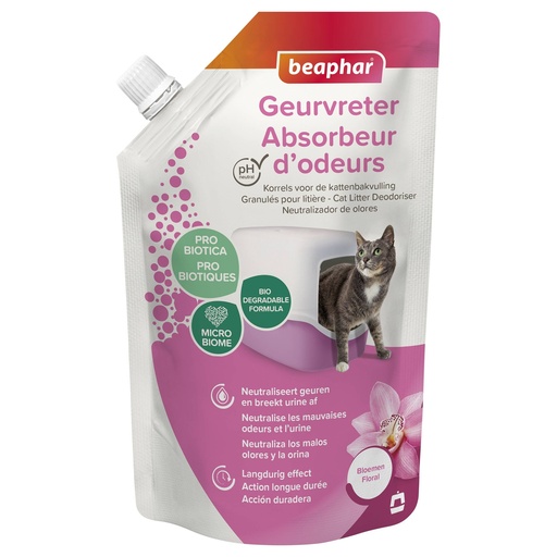 [BP13566] Geurvreter Orchidee