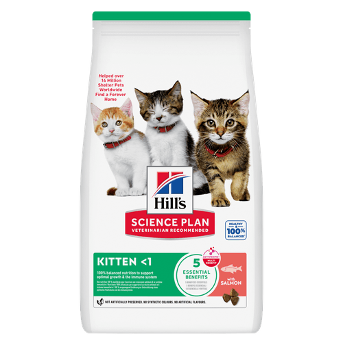 [H609371] Hills Feline Kitten Salmon