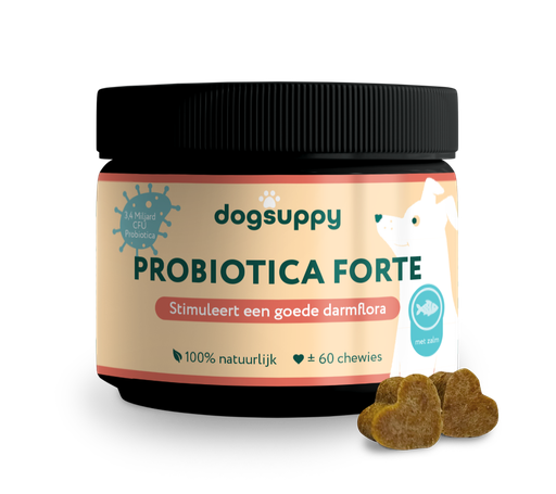 [DS20306] DogSuppy Probiotica Forte Zalm