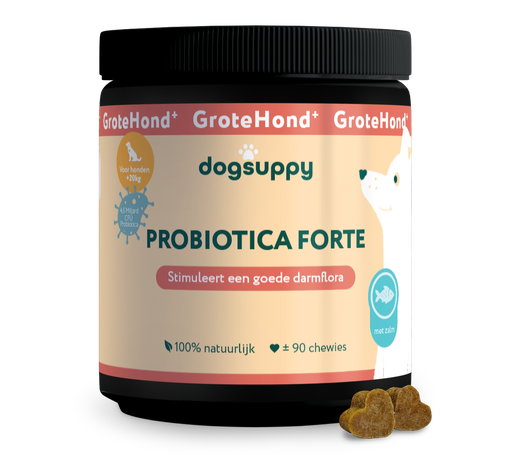 [DS20326] DogSuppy Probiotica Grote Hond Zalm