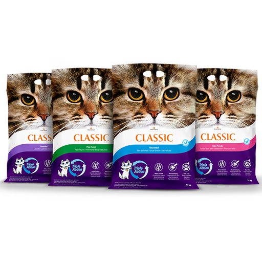 [SETSIC] Set Startset Intersand Extreme Classic